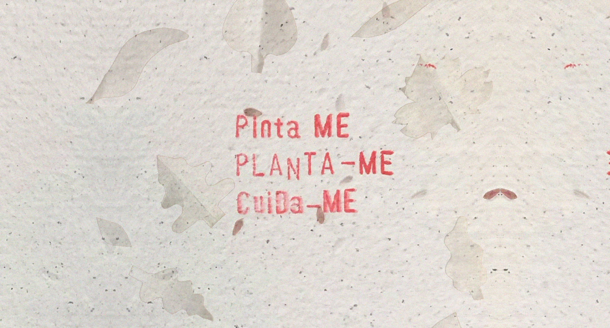 Taller Papel reciclado plantable