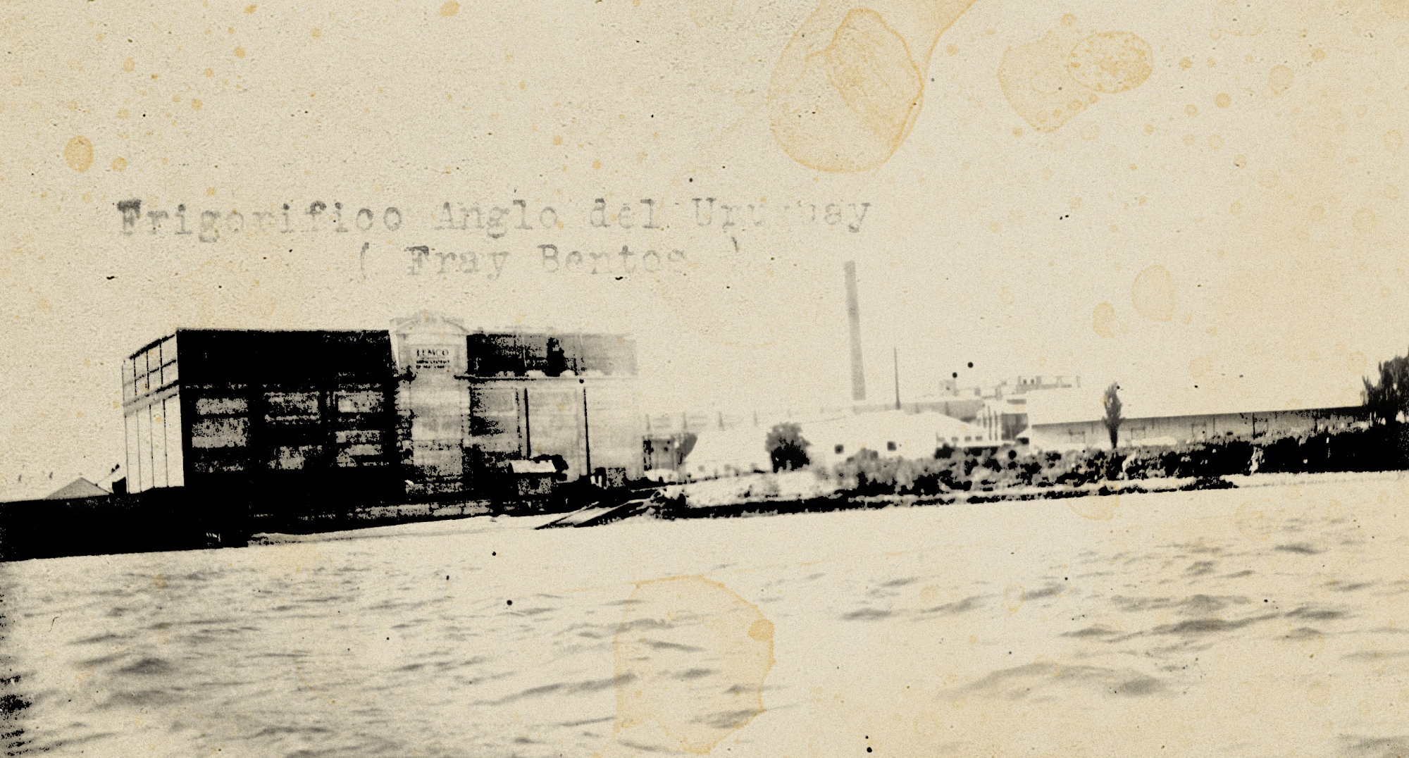 3.000 kilos de carne conservada en latas