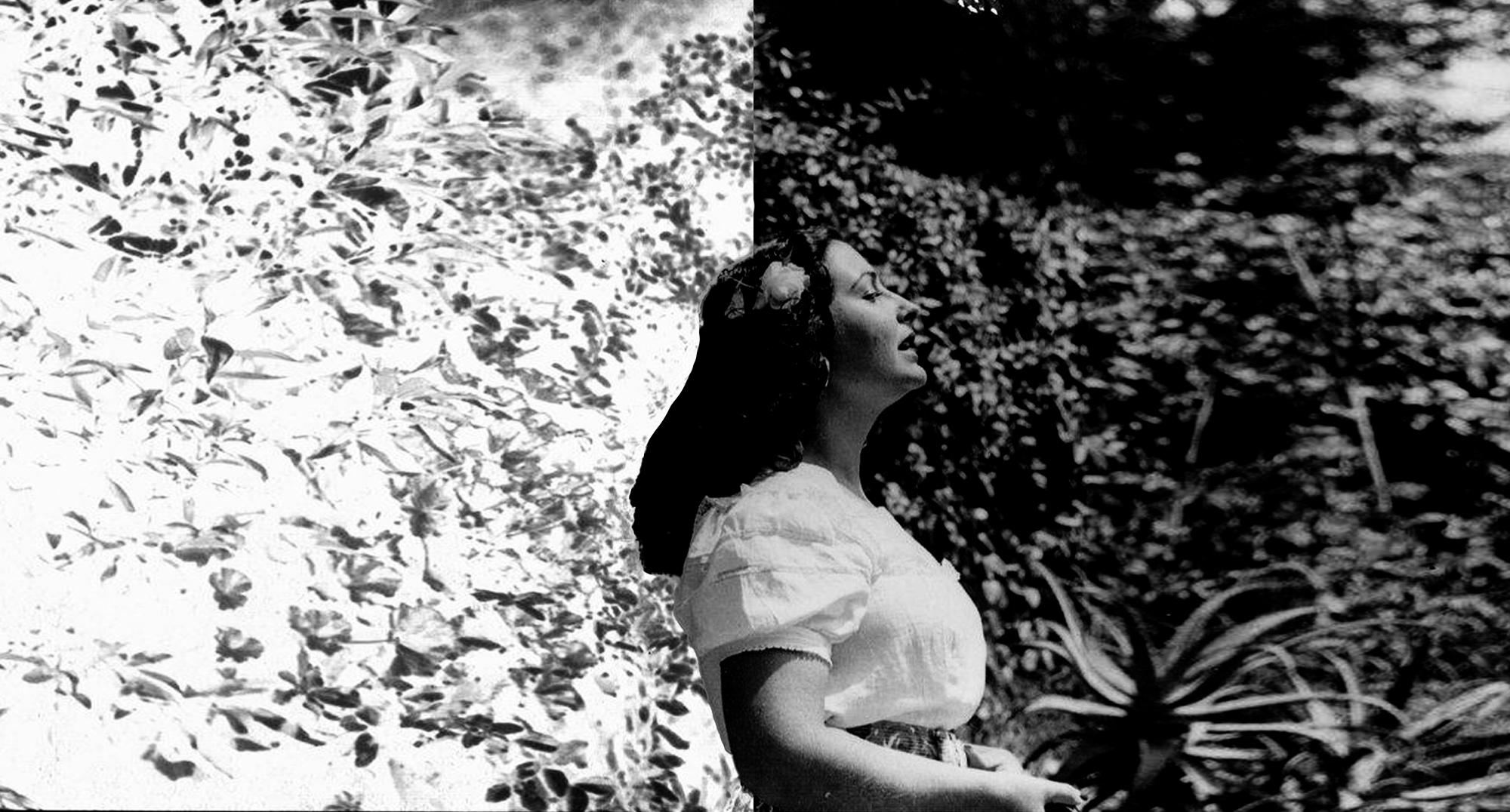 Contexto: Amanda Berenguer