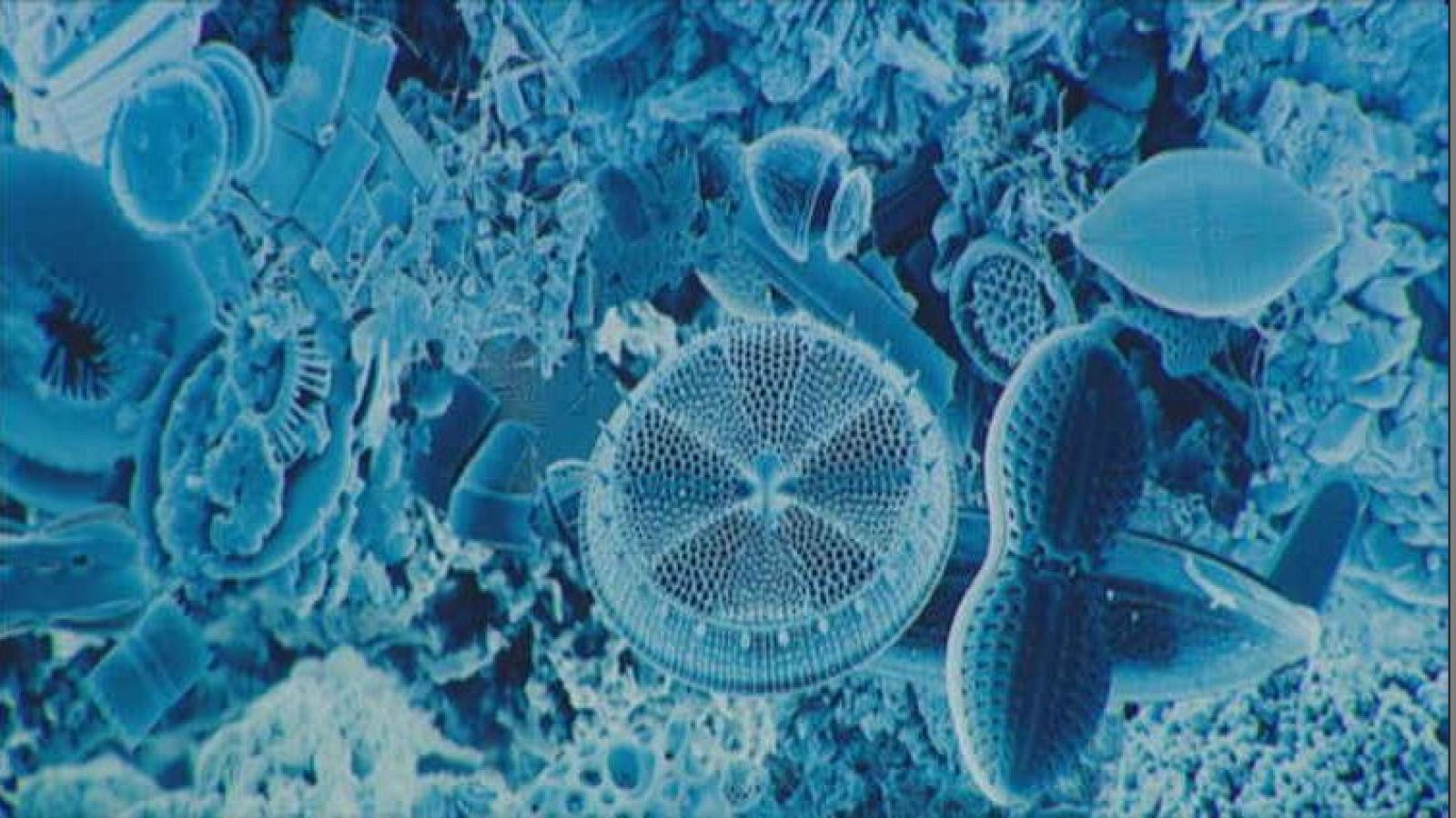 Lab24