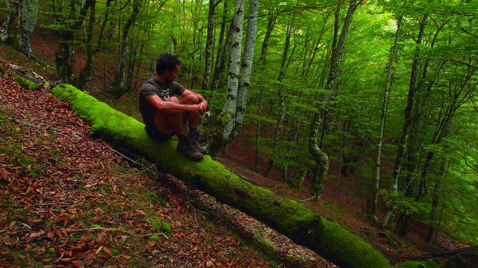 Semana del cine medioambiental en Montevideo