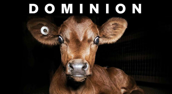«Dominion» , un documental contra la explotación animal