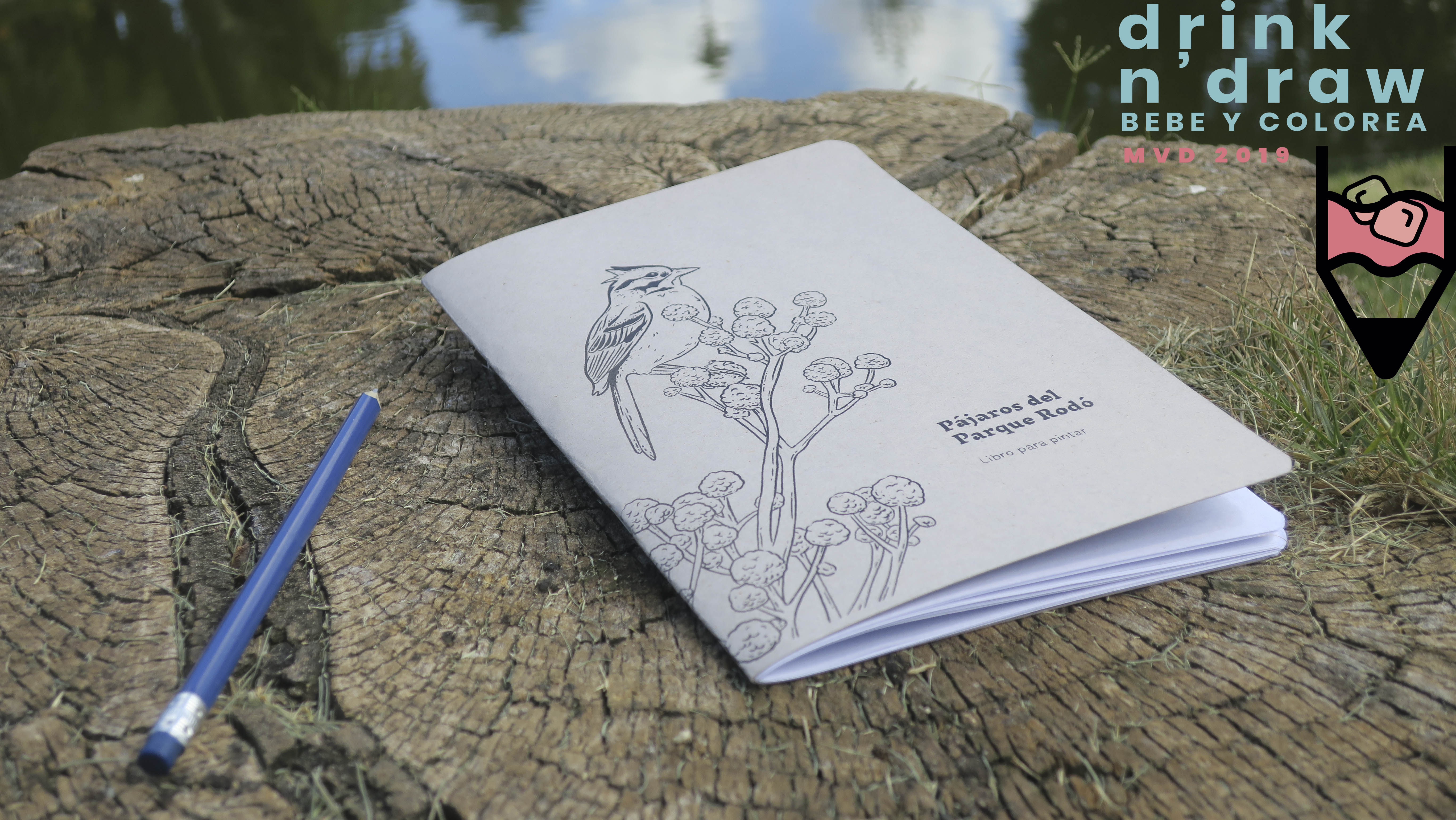 drink n´ draw: Pájaros pintados