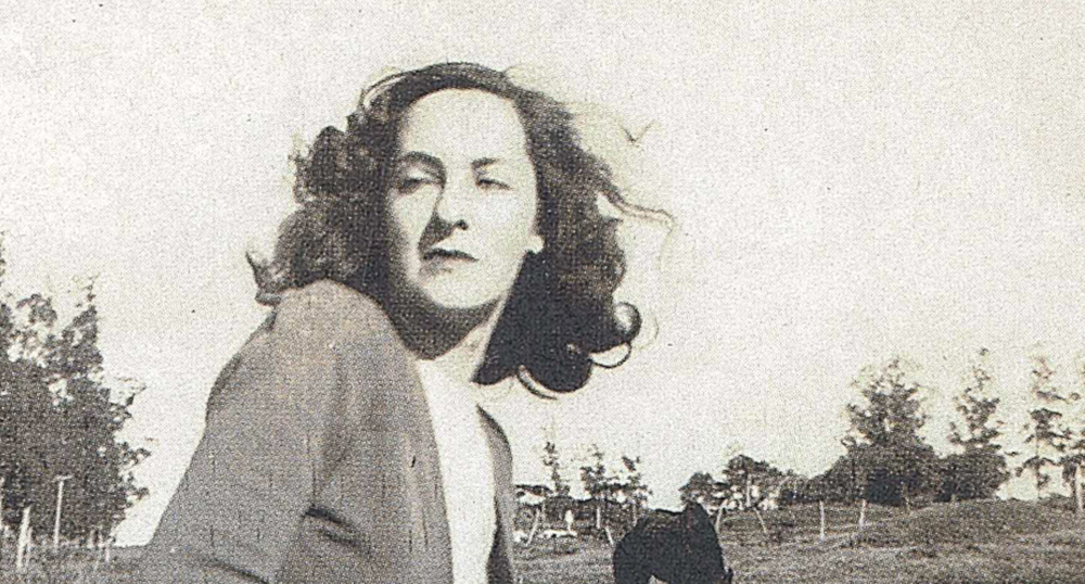 IDAMANÍA