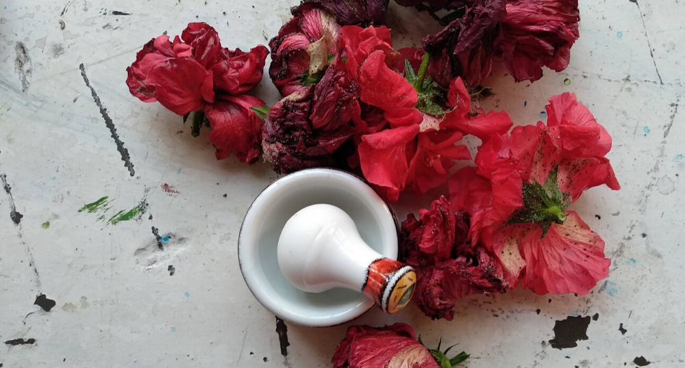 Taller en el marco del Día internacional de la mujer: Fotografía natural