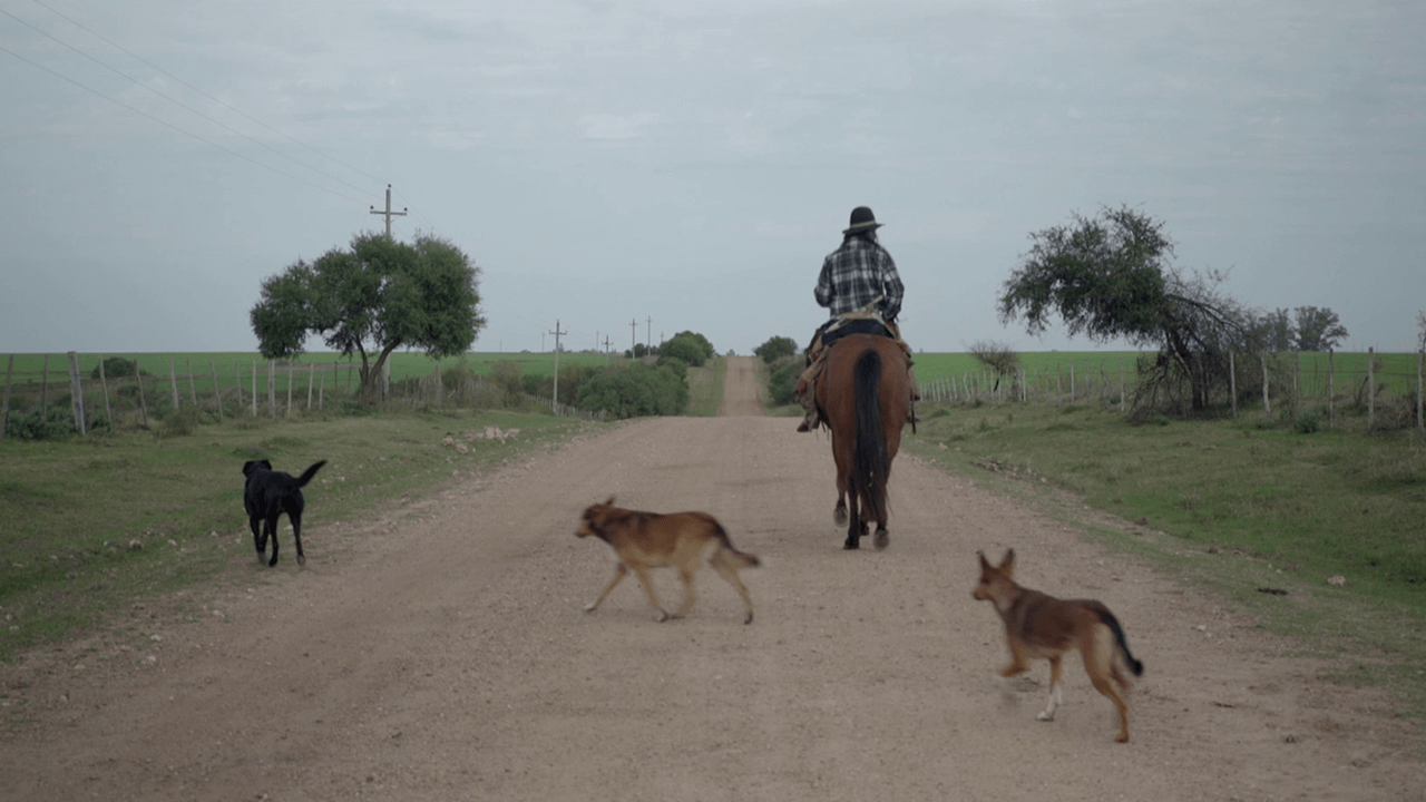 El país sin indios: Proyección del documental + Mesa de intercambio