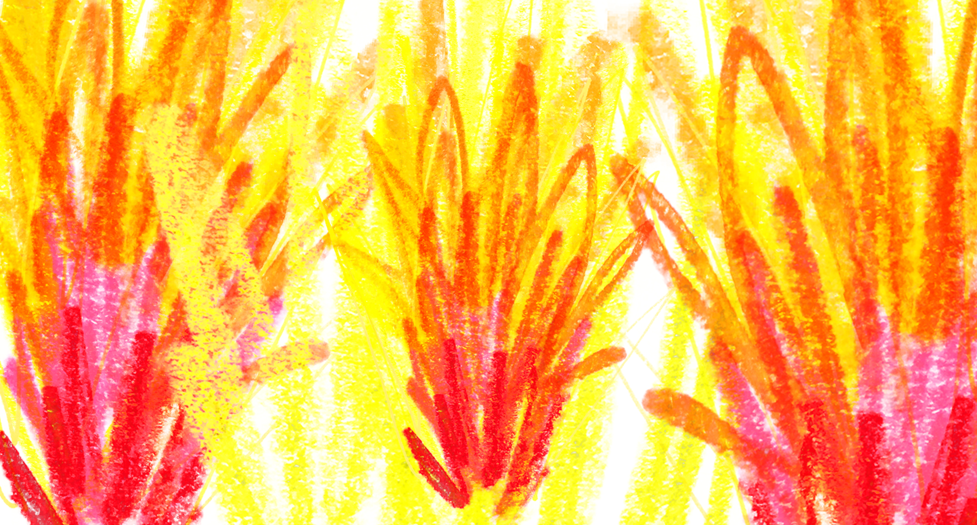 Un fuego que habla: mujeres, conjuros y prácticas disidentes