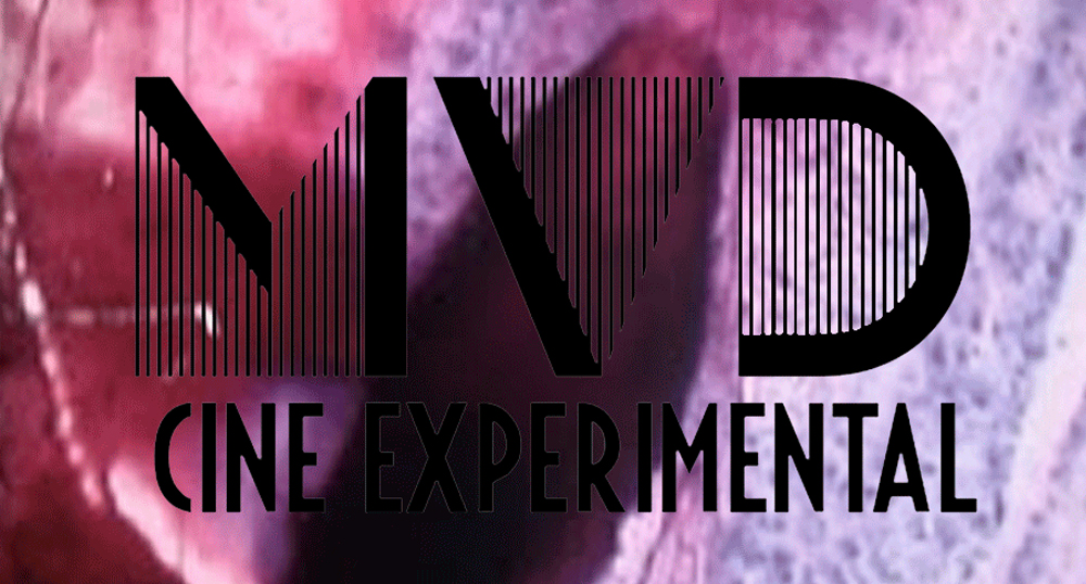 Montevideo Cine experimental II
