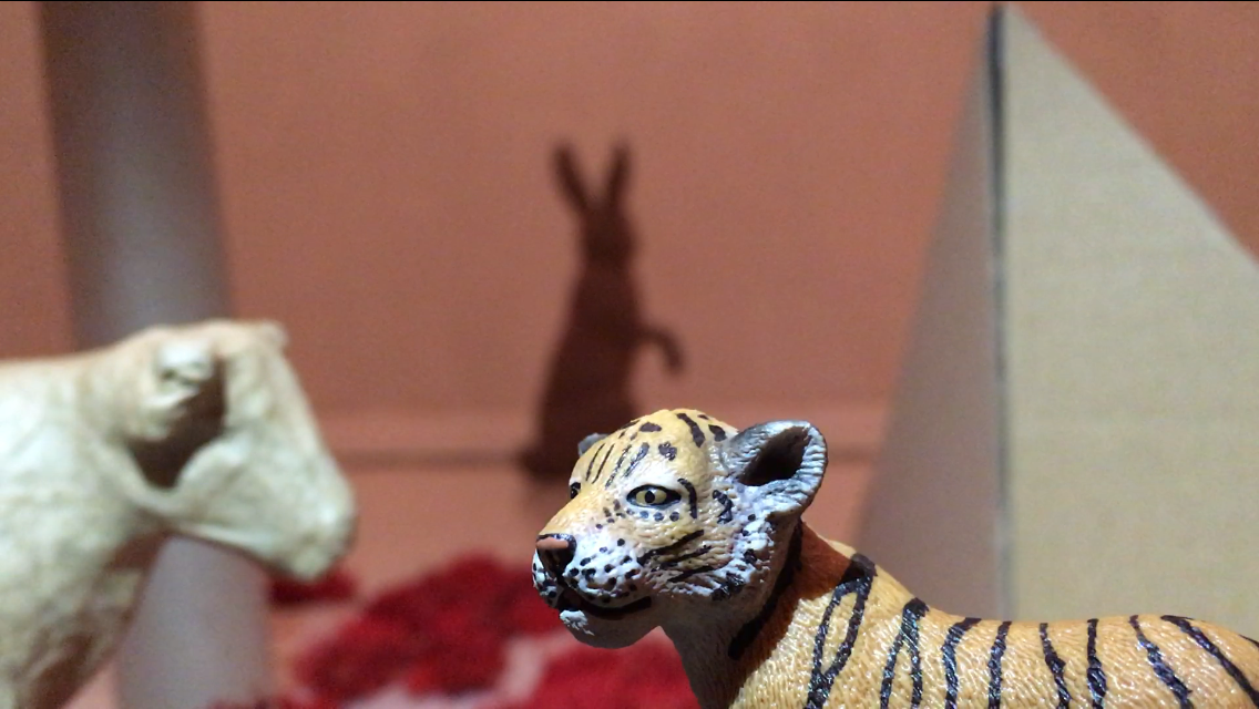 Residencia artística: En la sombra de un elefante / Ayara Hernández Holz ( Uruguay)