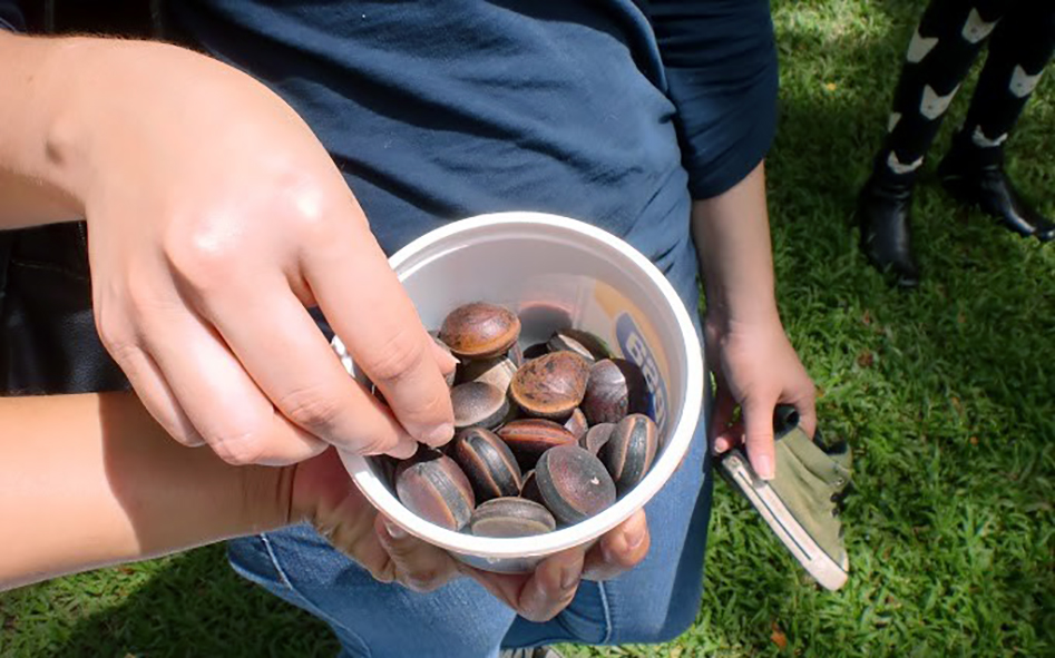 Taller “Sembrando huellas” de Deyanira Díaz y Ariadna Pineda (Venezuela)