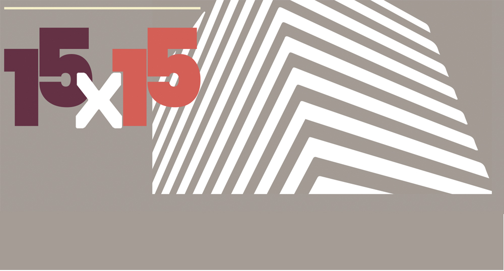 Debates 15 x 15: Cultura y ciudadanía: ¿qué modelos de institucionalidad son posibles?