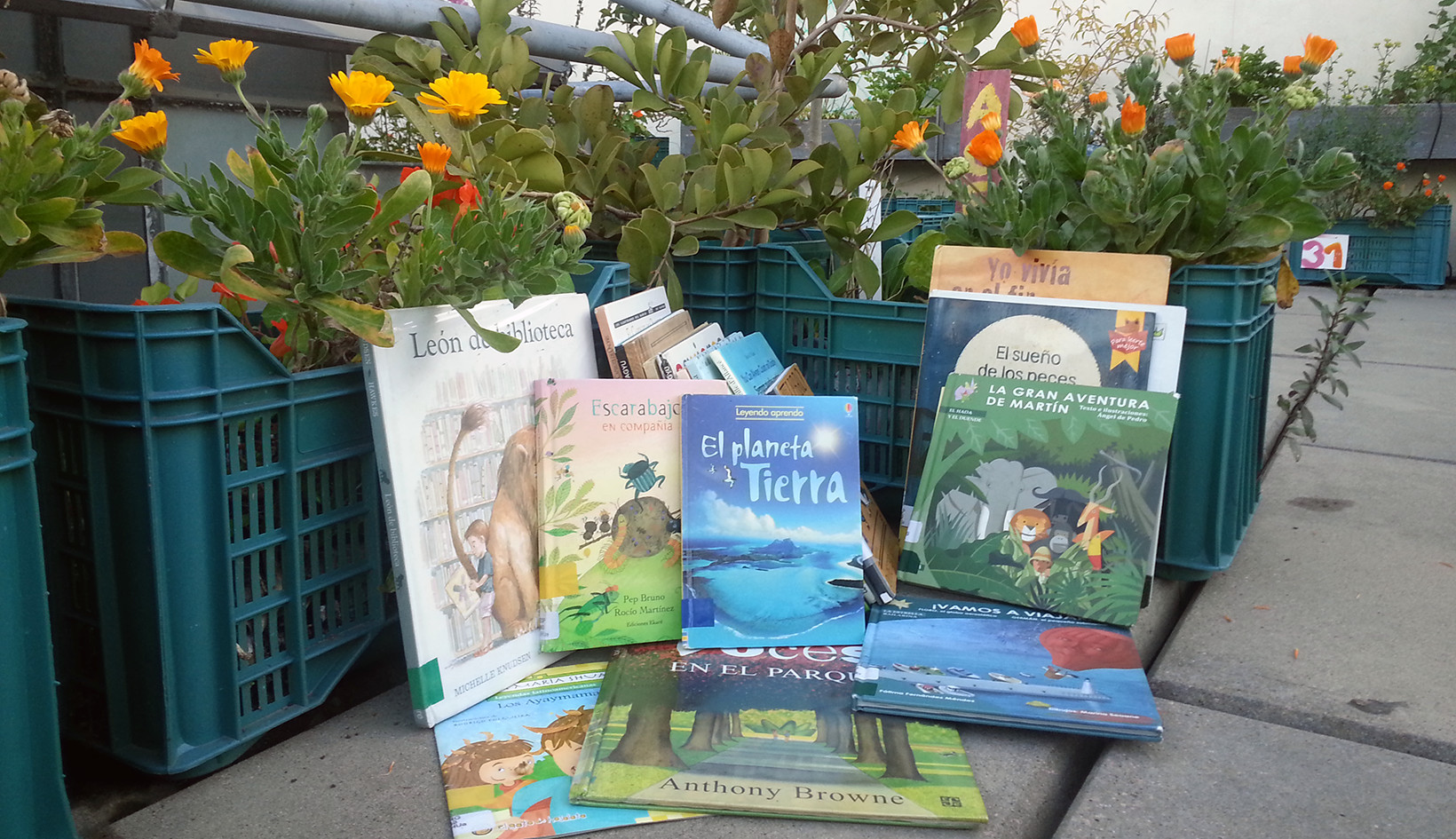 Día Internacional de las Bibliotecas en el CCE