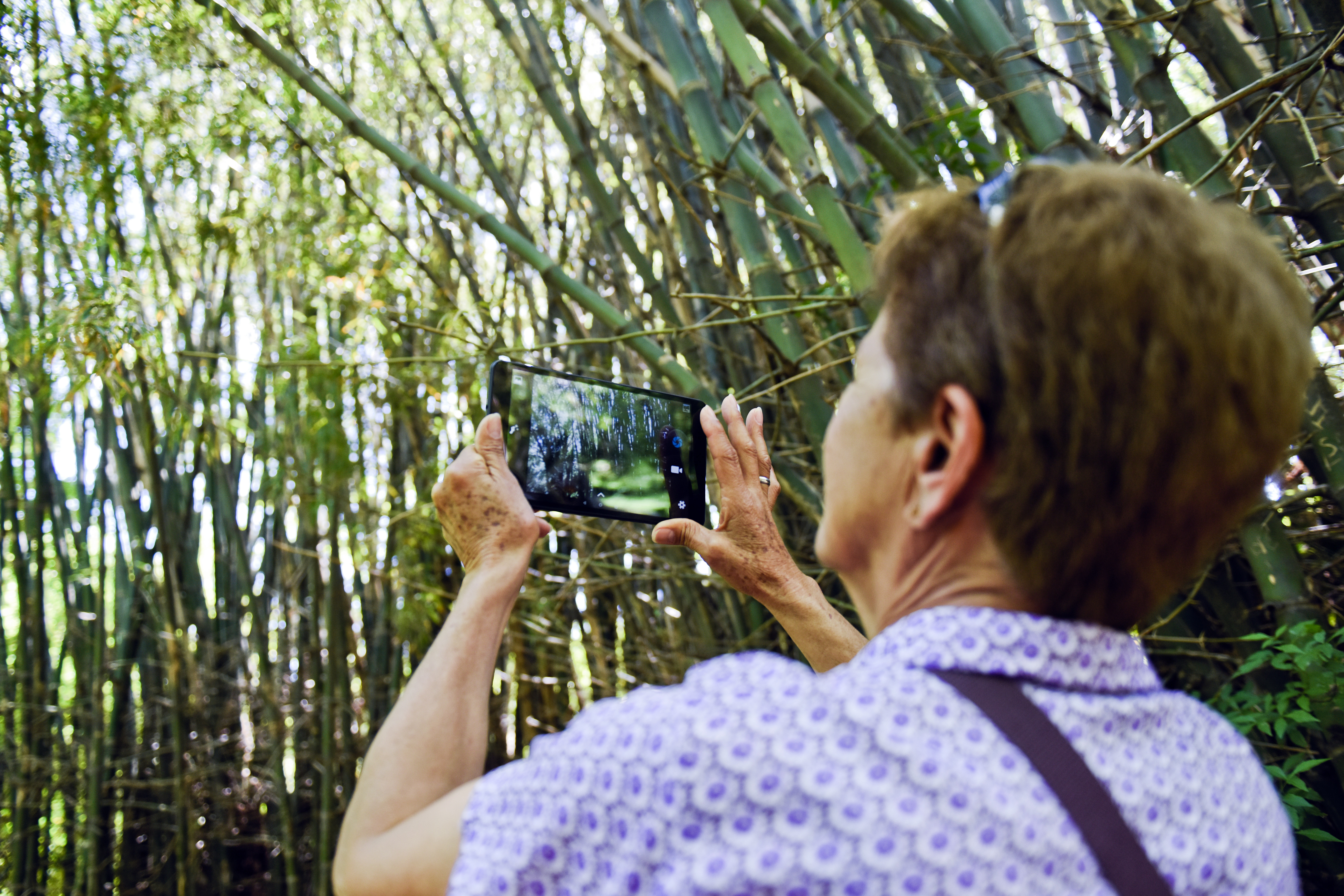 Talleres de formación Ibirapitá para personas mayores