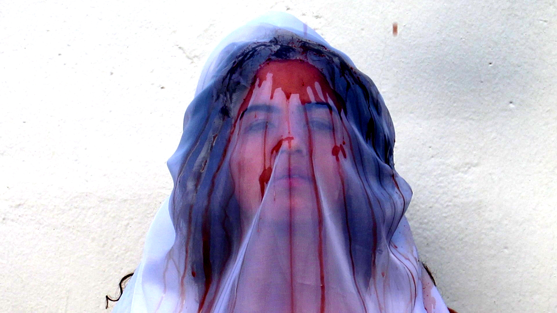 Crítica feminista decolonial en las artes con la brasilera Larissa Ferreira ( BR)