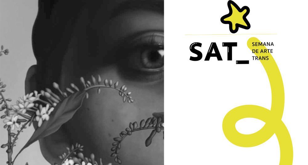 Presentación de las cápsulas creativas – SAT 2019