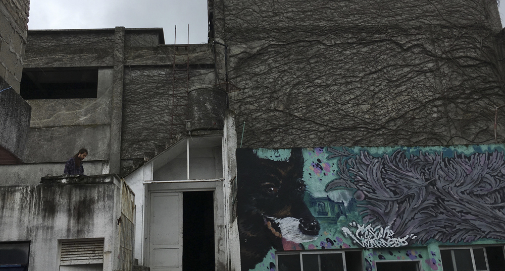 Residencia artística: Gatos en el tejado de Félix Marchand