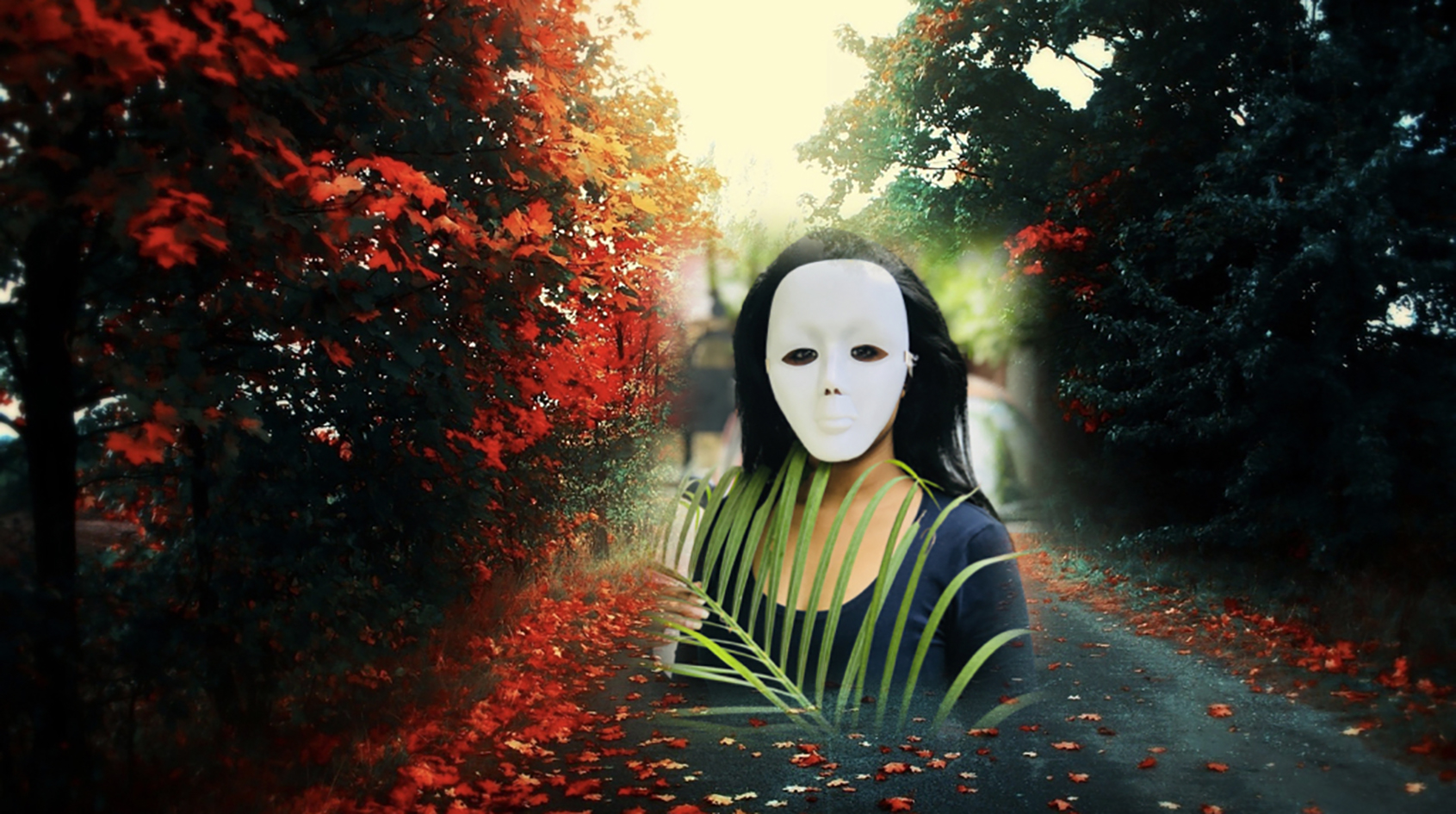 Extensión para escuelas y liceos – FICMA. Cine y medio ambiente