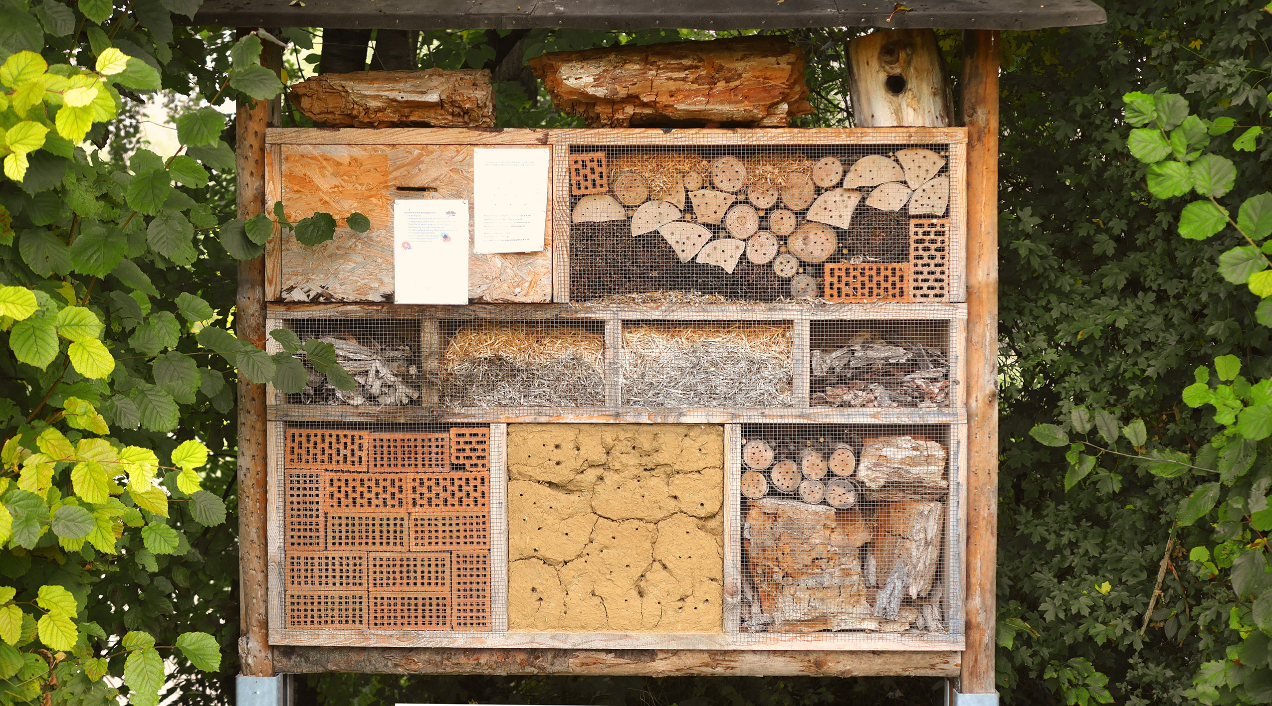 Taller: Construimos un hotel para insectos