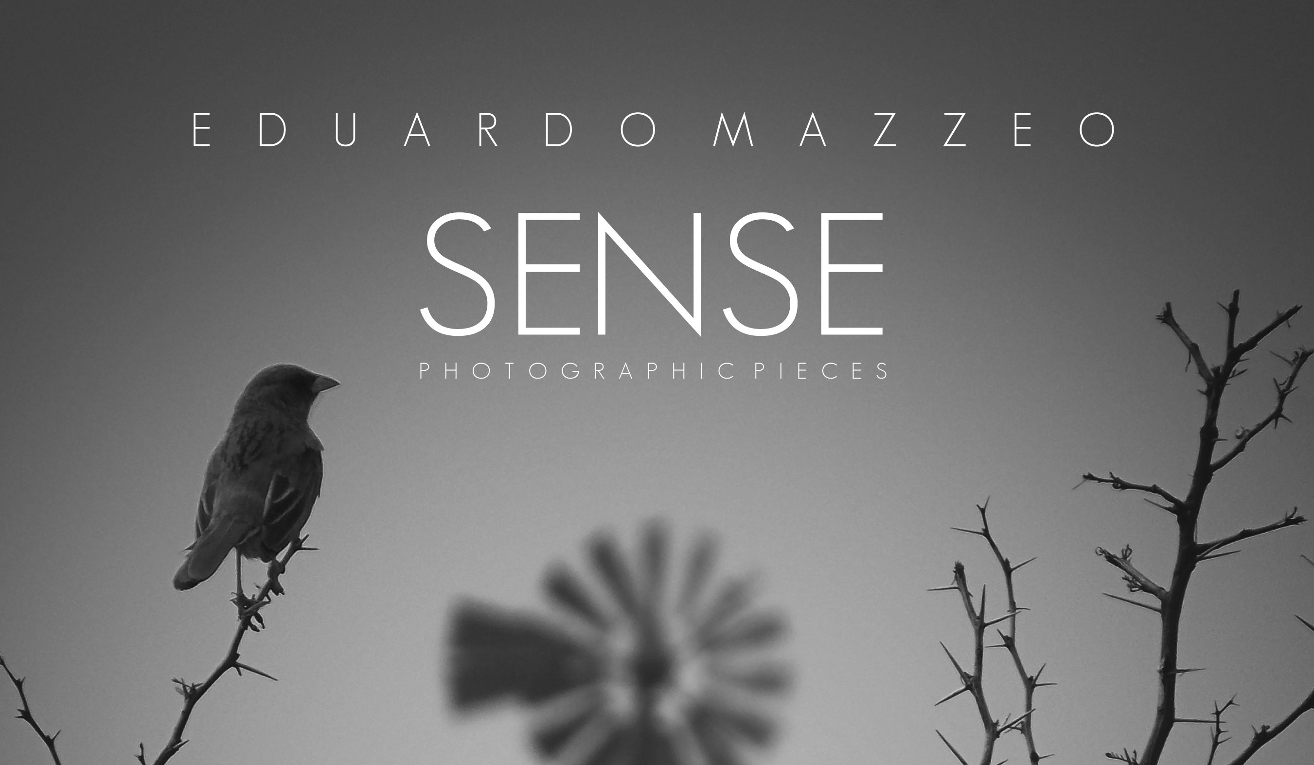 «SENSE, Photographic pieces»de Eduardo Mazzeo
