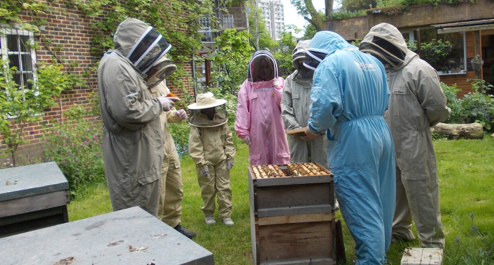 Taller de acercamiento a la Apicultura Urbana y al fascinante mundo de las abejas