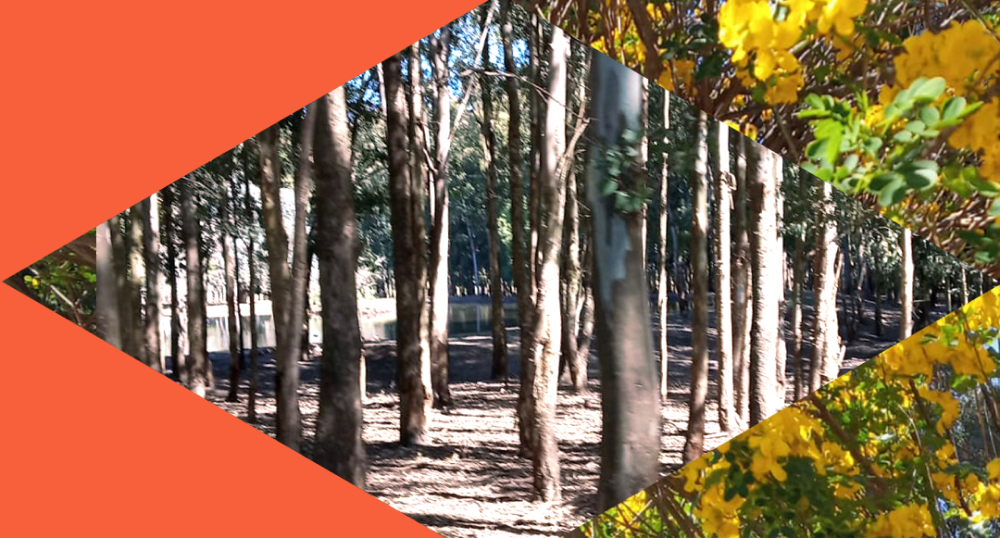 Taller: Literatura infantil y juvenil: Poética y Narrativa en movimiento