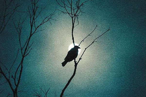 Sociedad Uruguaya de Médicos Escritores