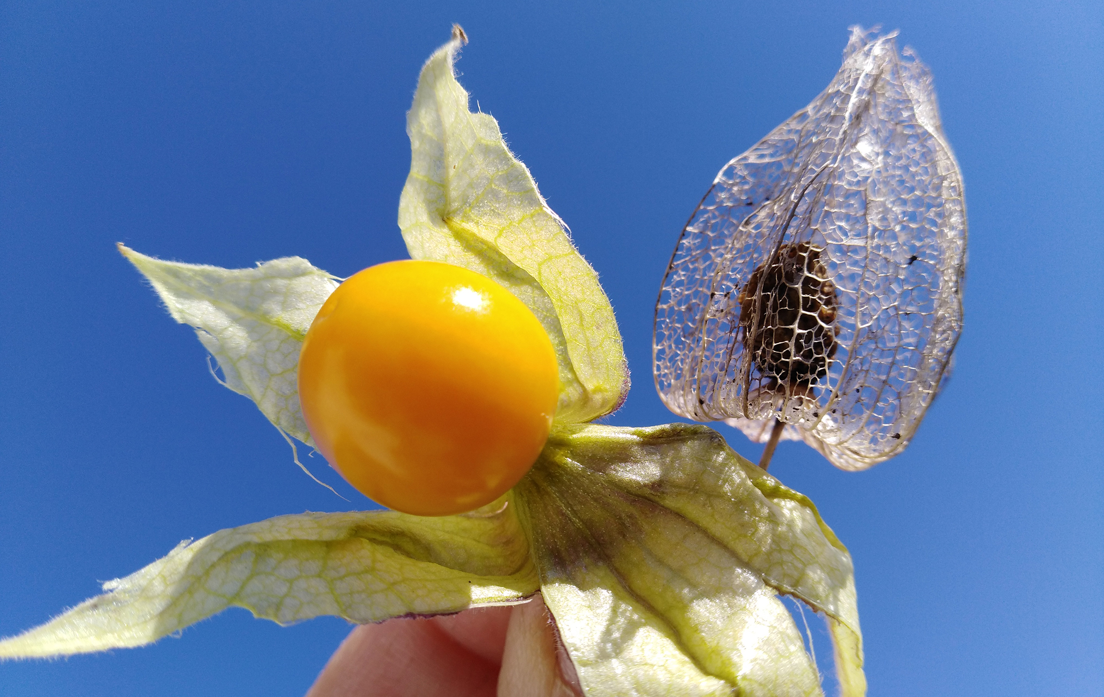 Reencuentro de primavera en la Huerta Lab CCE