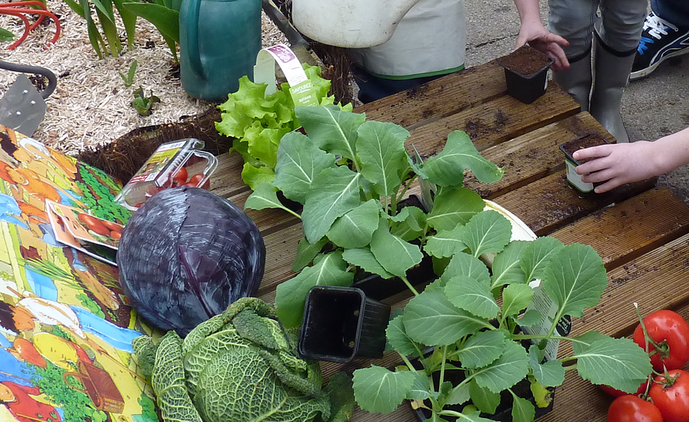 ¡CRE-ARTE tu huerta!