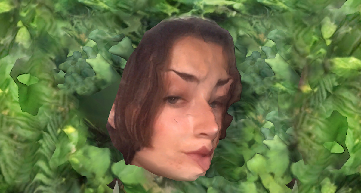 Reflexión y refracción: integrando la naturaleza a la era digital