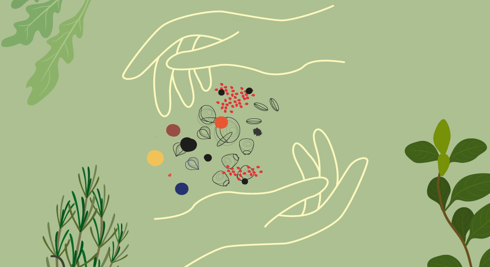 Semillas de cercanía