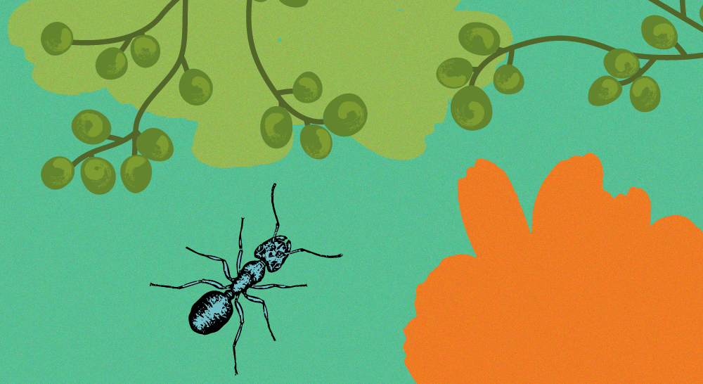 Taller: Todo se transforma