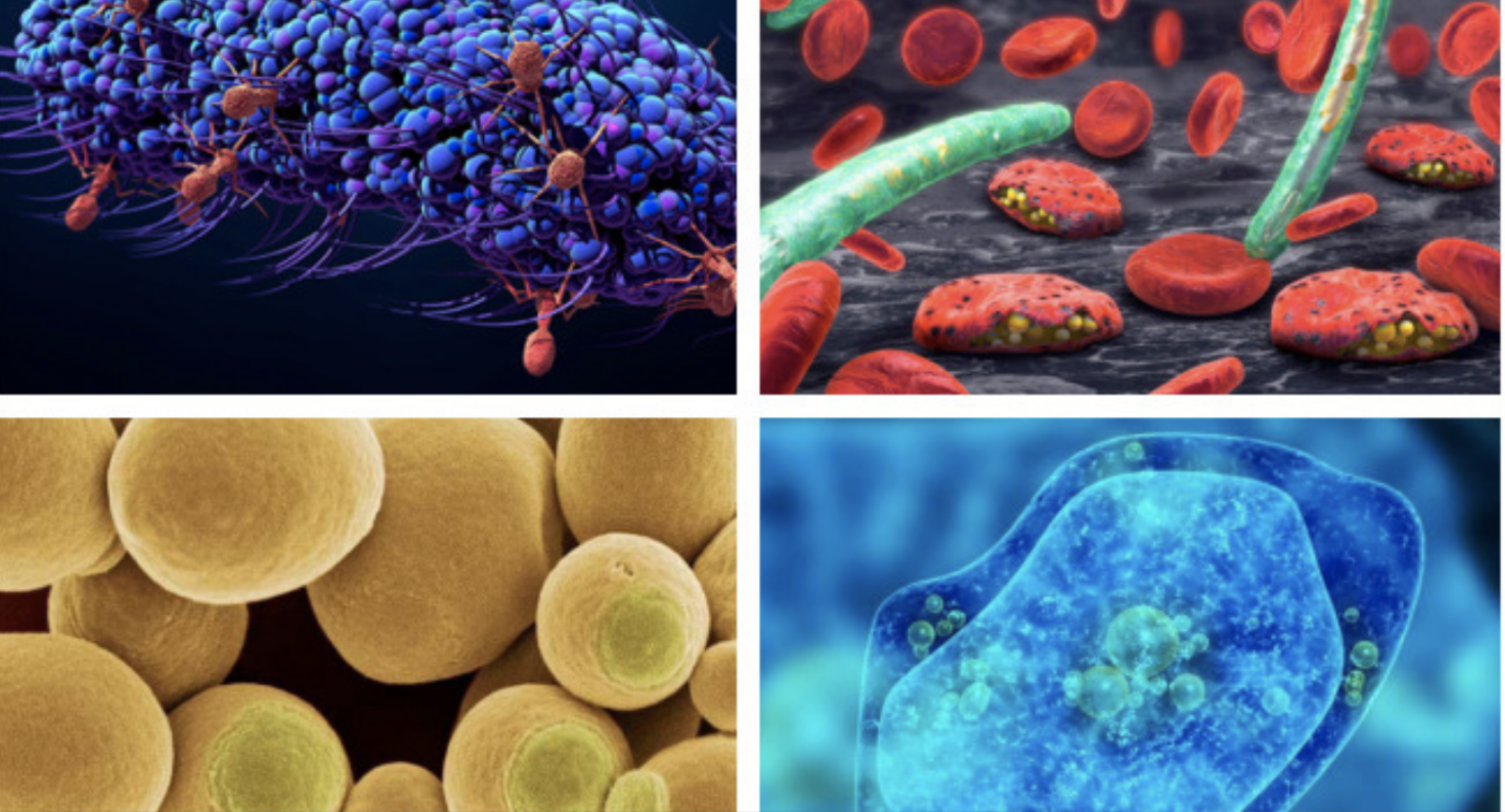 El Destino no existe