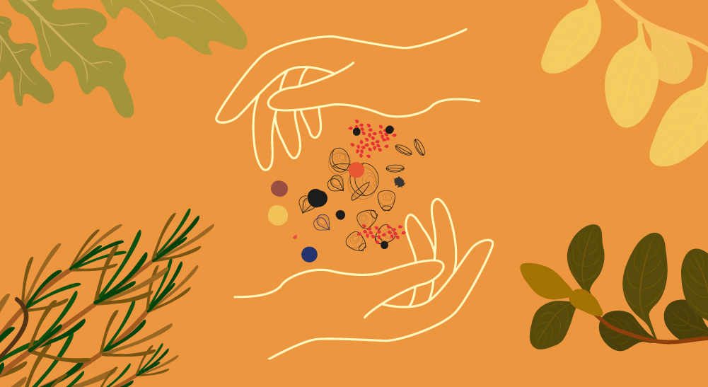 Semillas de cercanía / Laboratorio 2