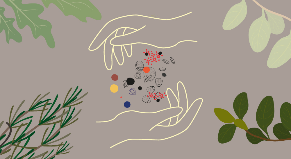 Semillas de cercanía