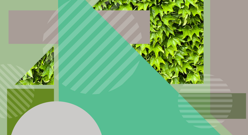 Construcción verde para las vacaciones