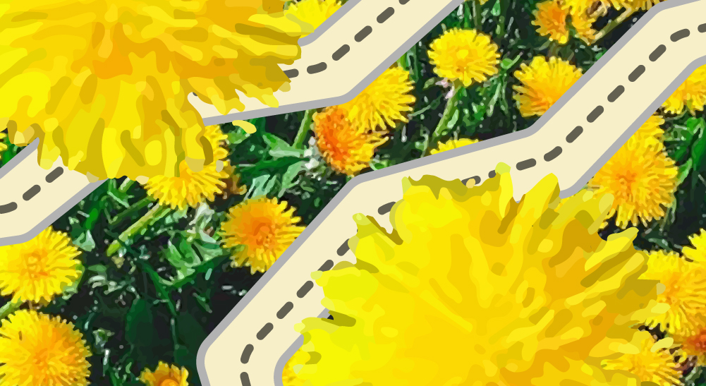 Tony Papalote: una MigraHistoria