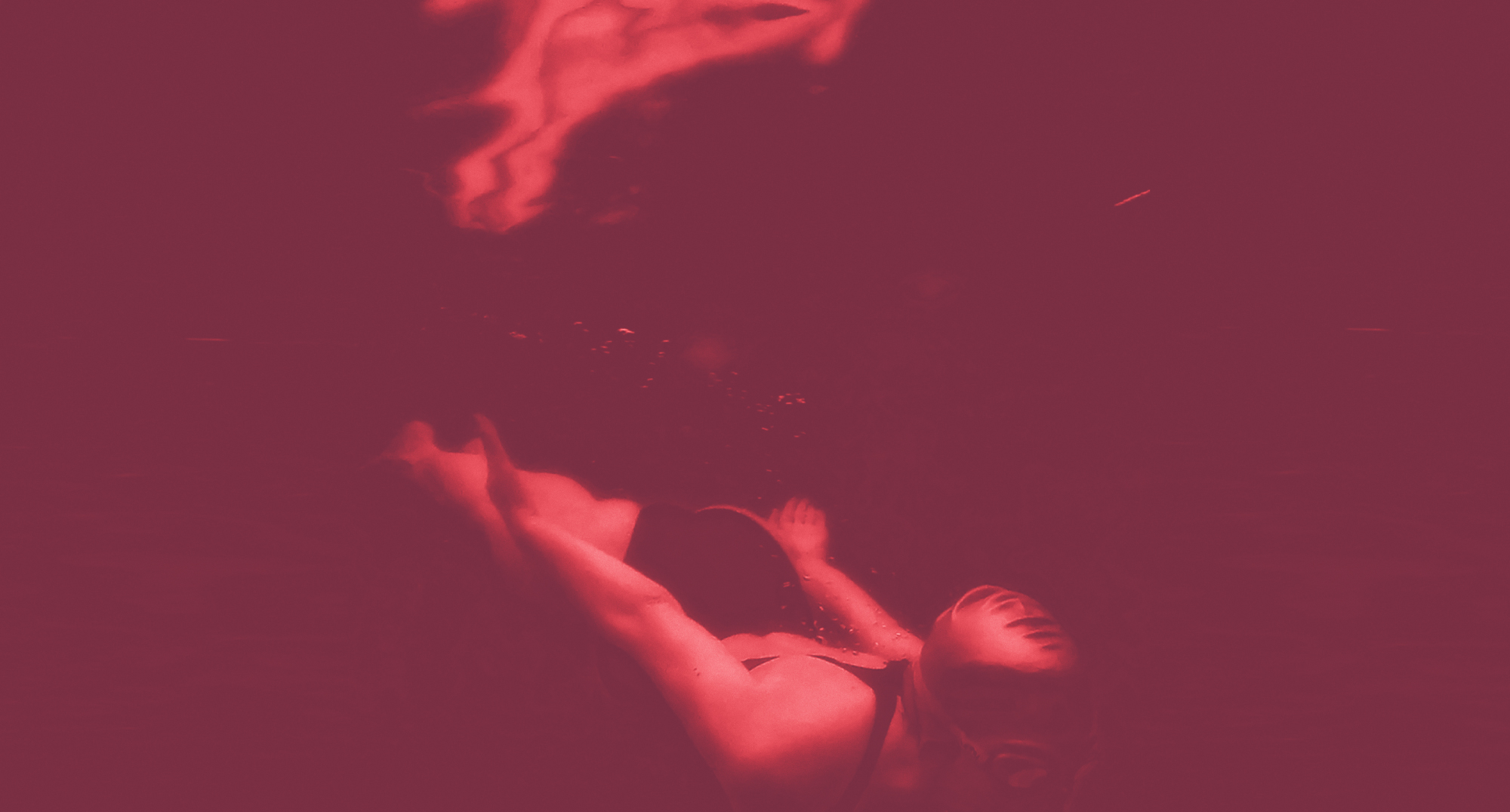 Procesos curatoriales Jorge La Ferla