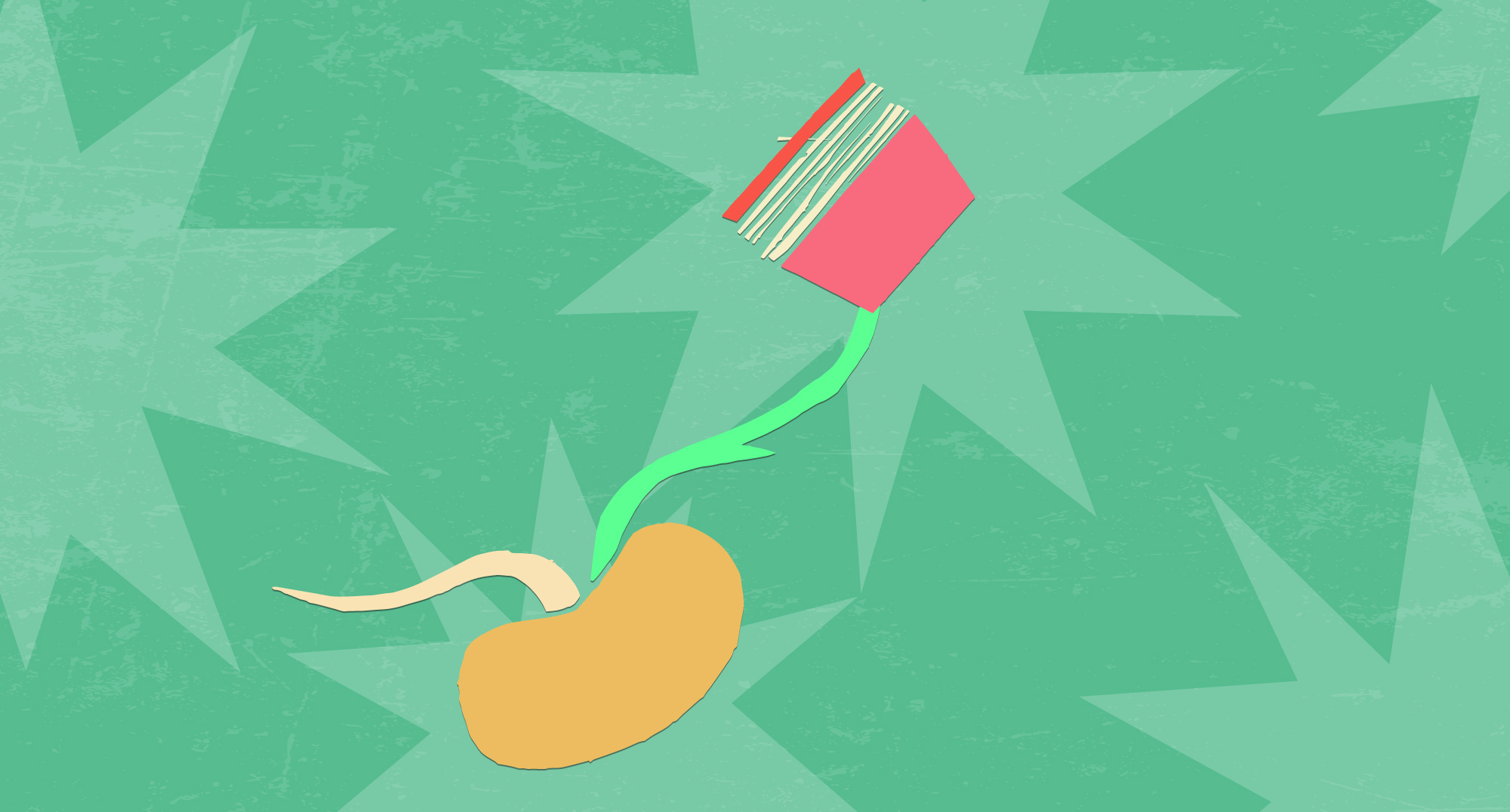 Semillas de experiencias lectoras