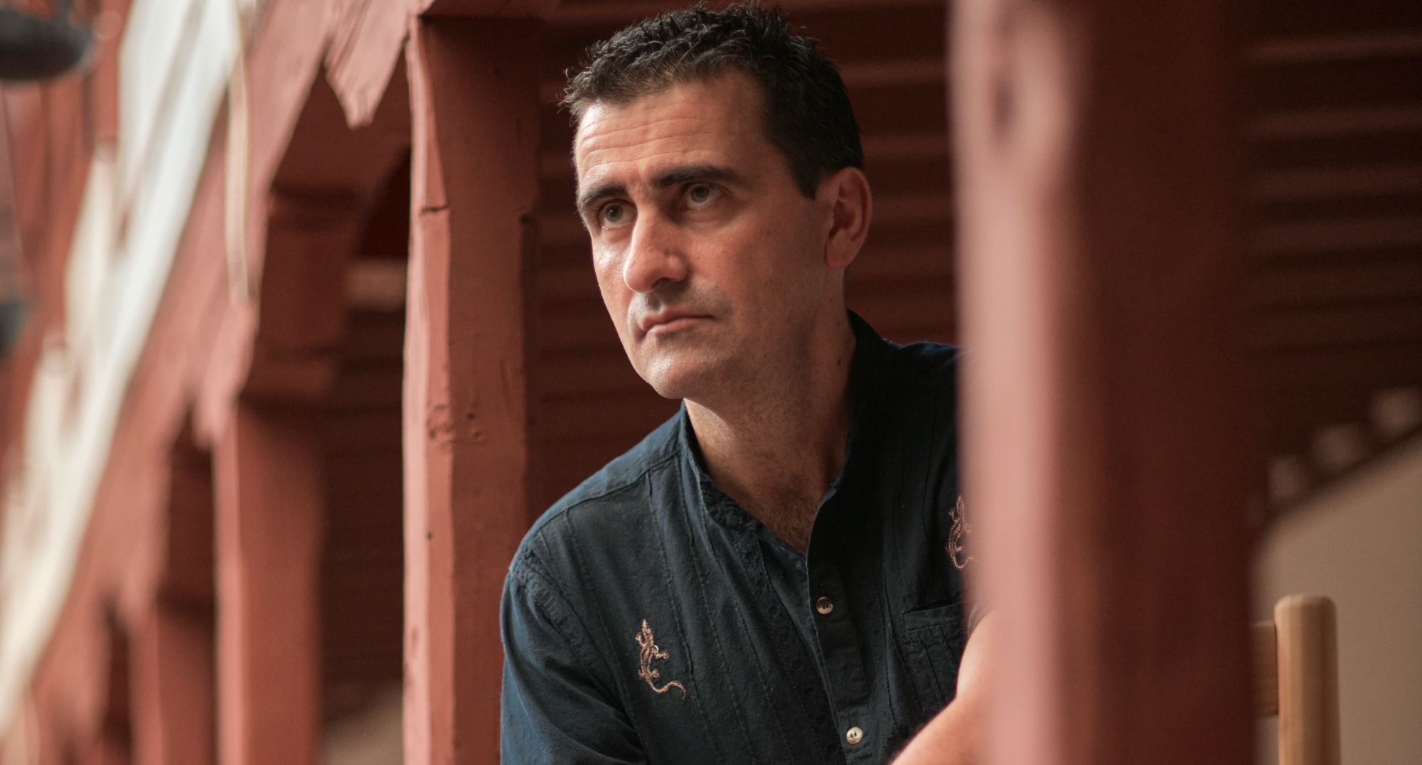 El verso, belleza e ideas