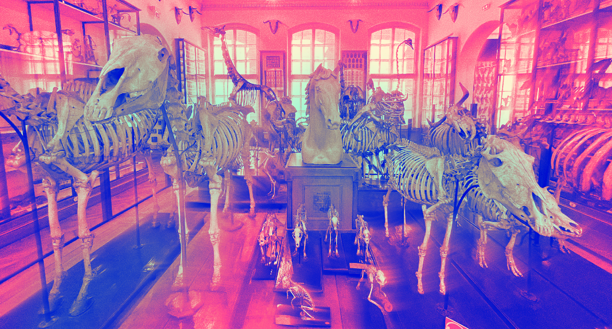 Las infinitas especies