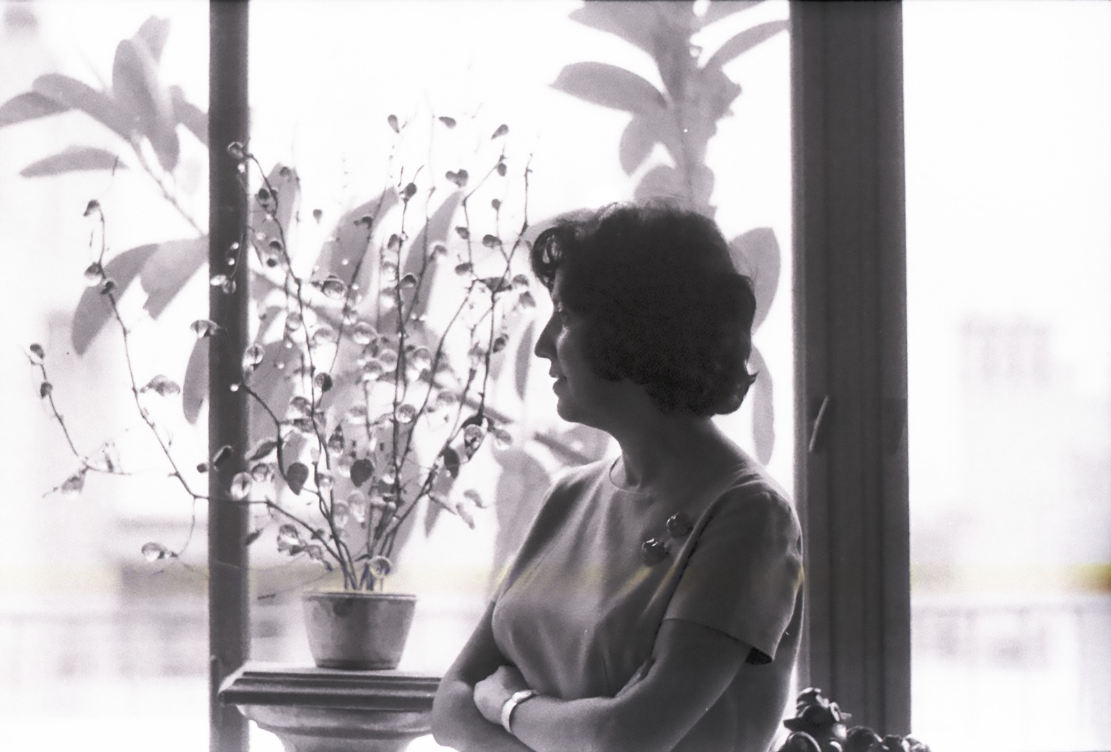 Beatriz Guido. Espía privilegiada