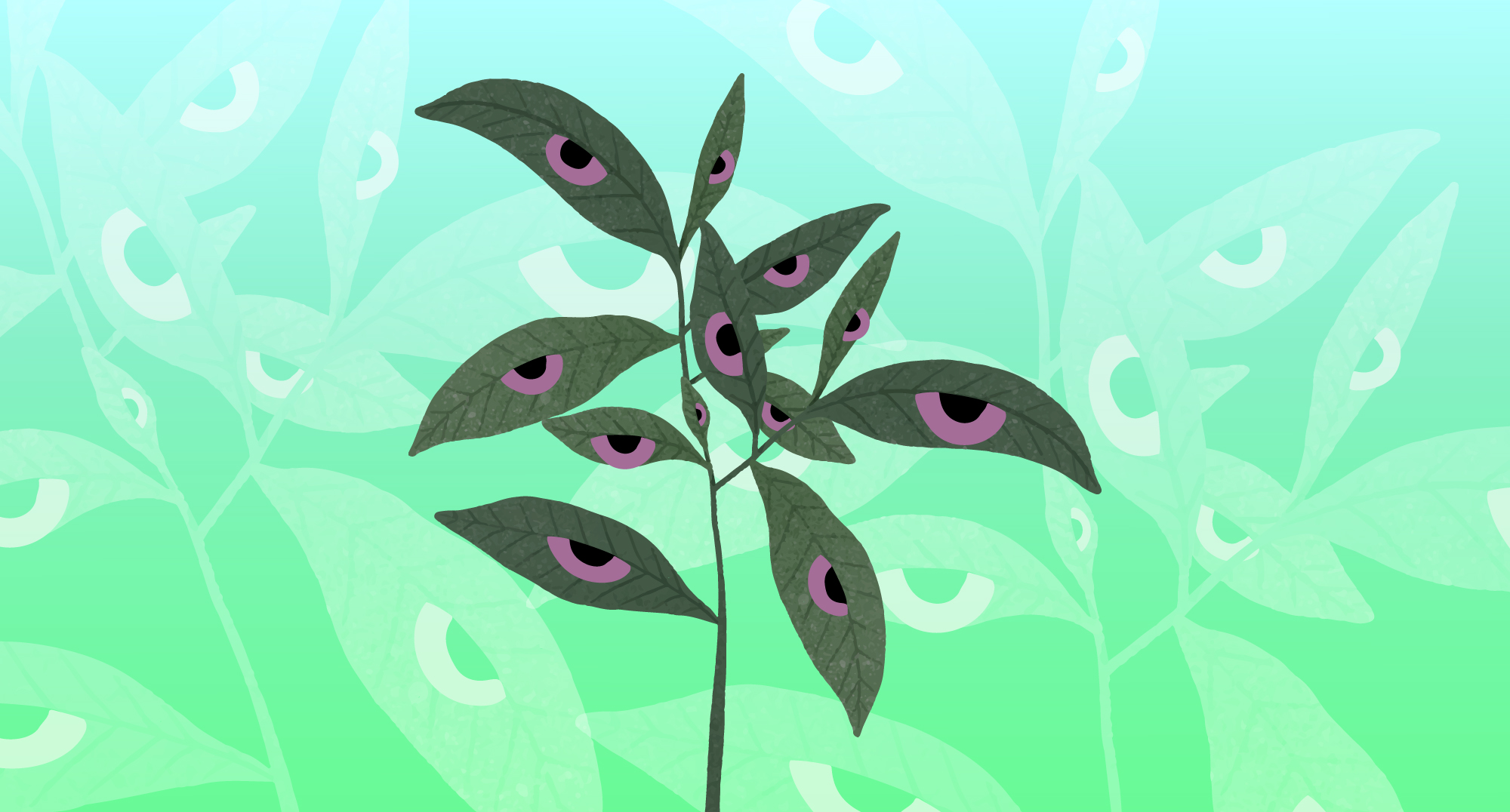 Derecho de vida. Miradas ecofeministas en el arte uruguayo