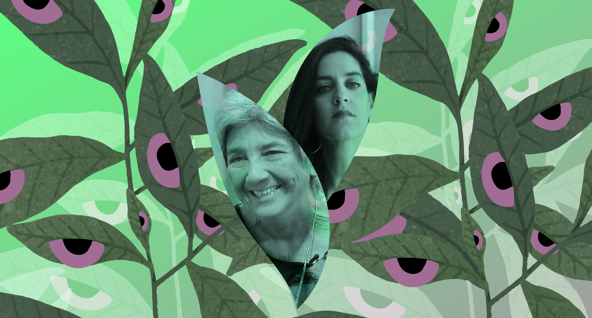 Charla informativa: Convocatoria Ecofeminimos