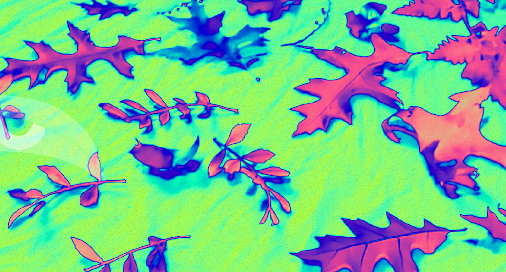 Impresión botánica sobre tela