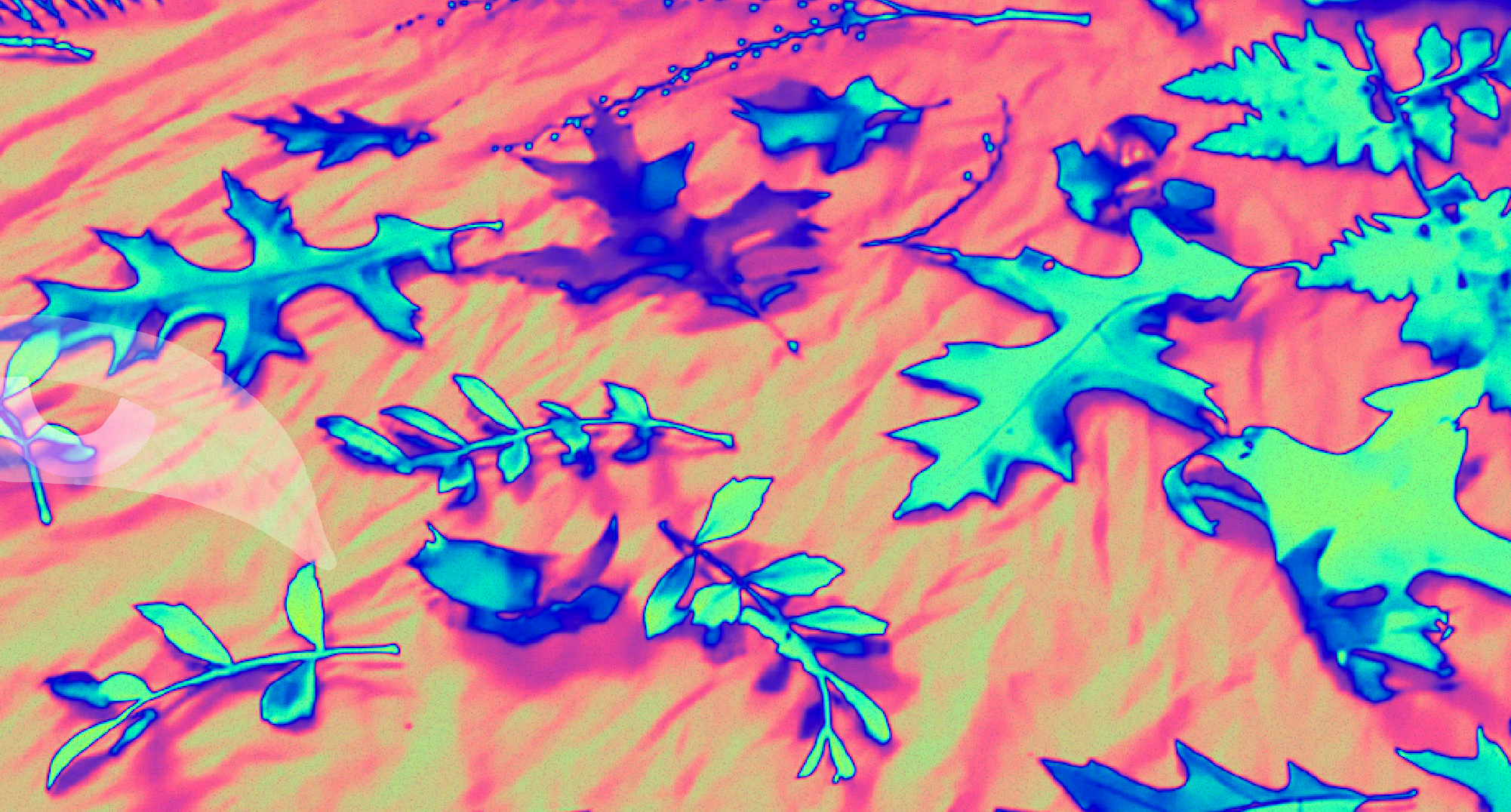 Impresión botánica sobre tela