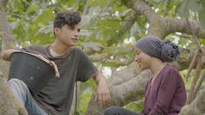 Entre las higueras foto